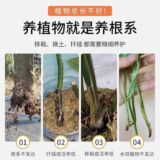 Guoguang Genpan indolinacetic acid rooting agent rooting liquid cutting plant rooting and seedling strengthening agent liquid plant growth regulator Genpan 200ml*20 bottles/box