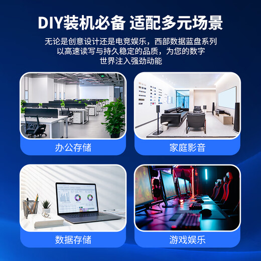 Western Digital (WD) Desktop Mechanical Hard Drive WD Blue Western Digital Blue Disk CMR Vertical SATA 4TB (WD40EZAX)