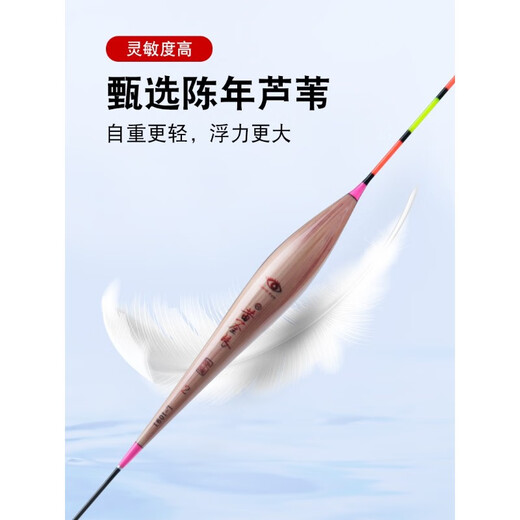 黄金眼鱼漂池海高灵敏芦苇浮漂鲫鱼鲤鱼混养鱼漂加粗醒目 黄金眼 L-1098(二目加粗尾) 1号一支