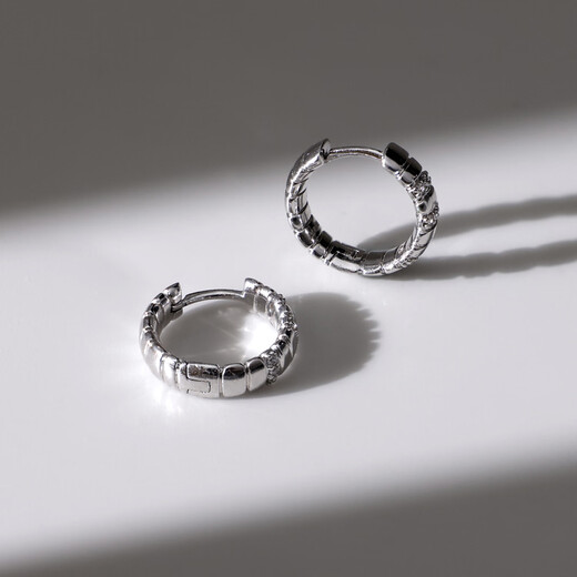 Arsis freely matches snake bone small earrings, women's fashionable simple earrings, versatile earrings as a gift for your girlfriend, snake bone small earrings - silver