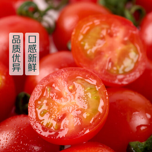【水果菜】爆汁车厘小番茄1.25kg