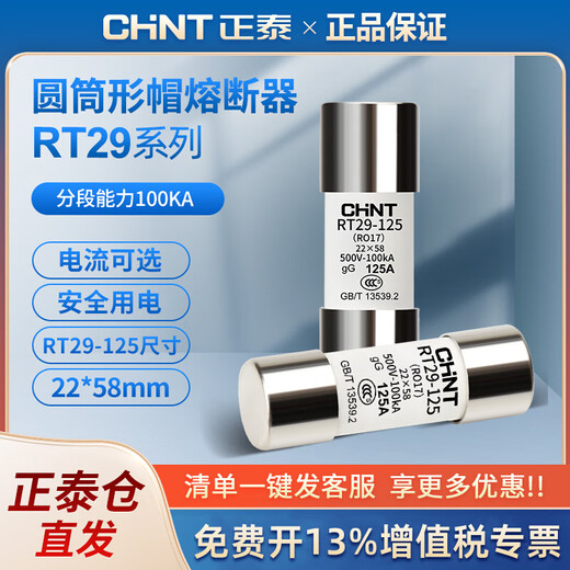 Chint fuse cylindrical fuse fuse RT29-125 (RT19-125) core 22*58mm 32A (pack of ten)