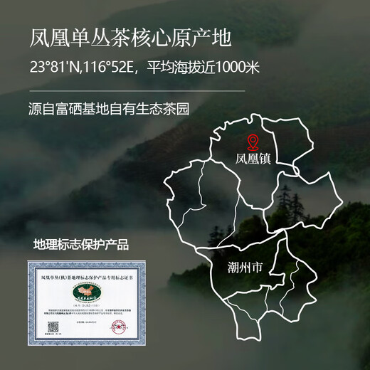 
The special tea ceremony tea special Phoenix Single Pineapple Oolong Tea 50g strong fragrance 2025 new tea authentic Chaozhou duck shit fragrance single group