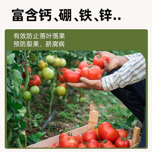 Abono especial para arándanos y fresas, solución nutritiva para mejorar el curvado y la caída de las hojas de los árboles, abono soluble en agua tipo fruta, abono compuesto orgánico, 20 paquetes, envasado individualmente - con paquete de prueba