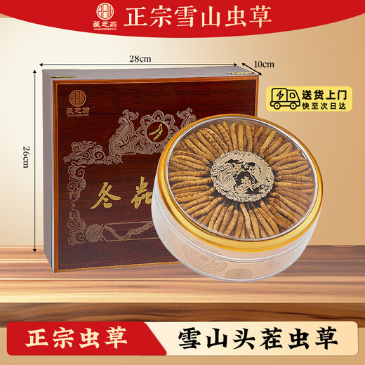 藏芝翁高海拔冬虫夏草精选头茬干虫草高端滋补礼盒送长辈送领导送客户 3根/克共100克【高端礼盒，健康品质】