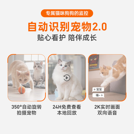 PICKFUN宠物家用智能监控手机远程查看回放语音对话wifi网络摄像头猫咪狗狗专用监控生机绿32G