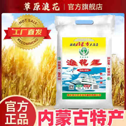 草原浪花【内蒙发货】浪花王5kg家用中筋新国标精制粉内蒙古小麦面粉10斤 10斤中筋蓝浪花王