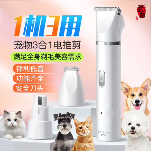 Blackbird pet shaver electric clipper multifunctional three-in-one cat and dog universal bass Maltese puppet shaving