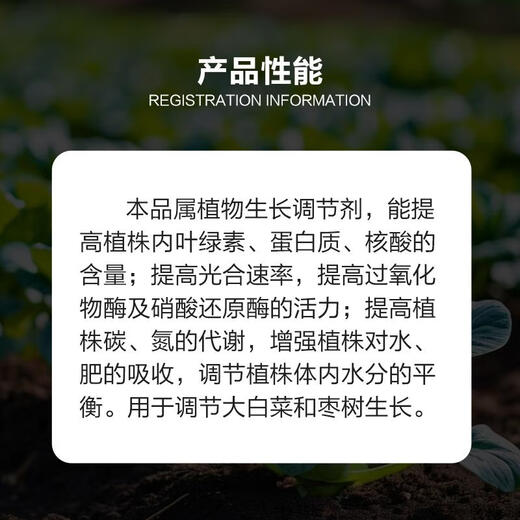 Guoguang Tiandu 8% Aminobutanol Jujube Chinese Cabbage Promotes Growth and Yield Enhances Absorption of Plant Growth Regulator 200g (Full Box of 50 Bags)