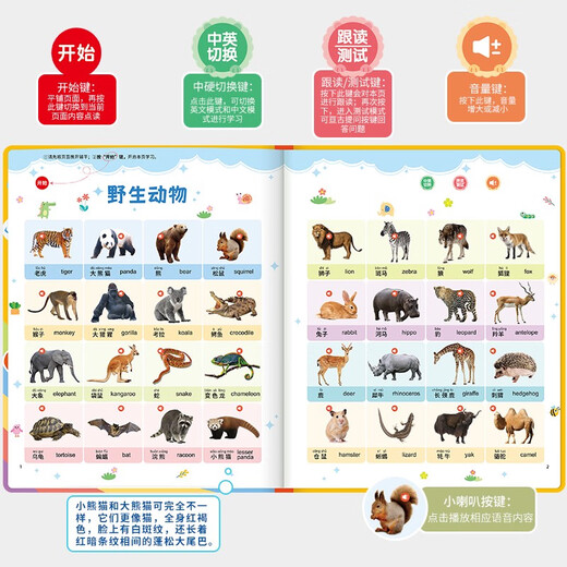 Children's Early Education 03-6 Charging Chinese and English e-books for reading point reading learning machine baby pinyin audiobook 37 themes - Early Education Enlightenment Voice Book - Charging
