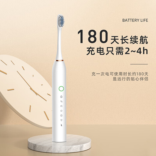 New electric toothbrush rechargeable adult soft-bristled waterproof sonic vibration home couple toothbrush Sakura pink base fast charging 12 brush heads + stand + travel box
