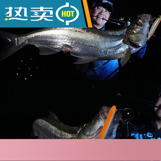
Blue Sailfish Trail Death Water Floating Pencil Word Dog Luya Bad Little Bad Bad Bad 100mm-15g-739-3d Silver Scale