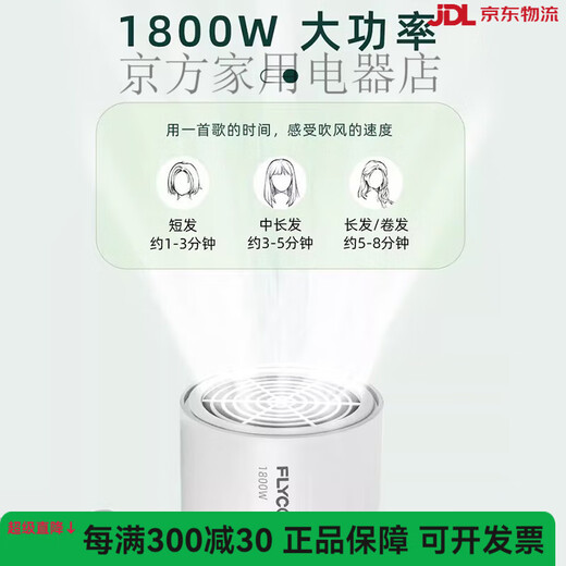 2025 NOUVEAU MÉNAGNE HAUTE puissance haute puissance éolienne Ion négatif à faible bruit Ménage de la maison Température constante Soins de cheveux sans dommage Sèche de cheveux Sécheur Green Fh6296 + Cass de cheveux secs Séchage des cheveux longs