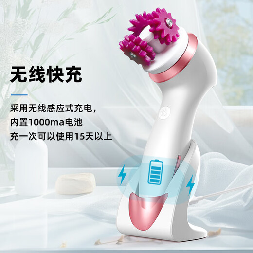 麦舒特洗脸仪洁面仪电动毛孔清洁器男女洗按摩洗脸刷洗脸机神器 清洁 套餐  银色