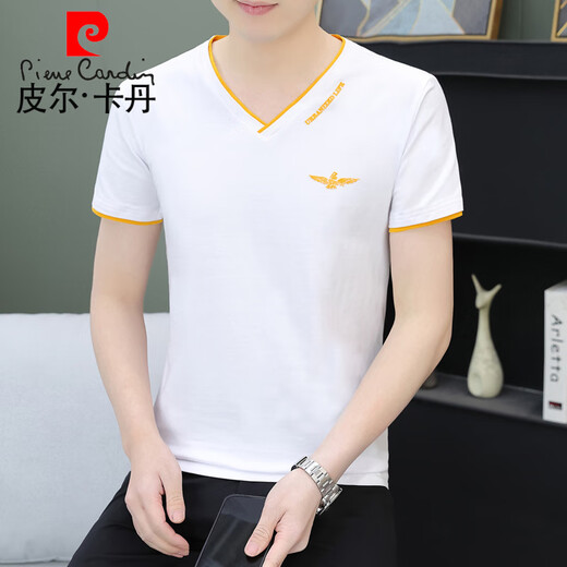 皮尔卡丹（pierre cardin）夏季男士短袖t恤纯棉v字领潮流修身半截袖青年休闲上衣服薄款汗衫 黑色 QY693 M