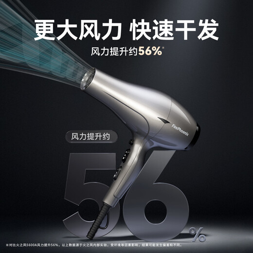 Fire Phoenix Hair Dryer 6600X Hair Salon Special High Power 2400W High Wind Low Noise Home Constant Temperature Hair Care Does Not Damage Hair Barber Shop Professional Hair Dryer Home Appliance 6601X Milan White Negative Ion 2m Cord Long (Four-speed Home Version)
