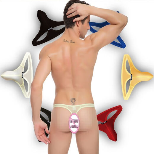 Renduo men's ultra-thin ice silk sexy thong single thong transparent lace thong to cover the buttocks light green 312 L (2 feet 2-2 feet 4)