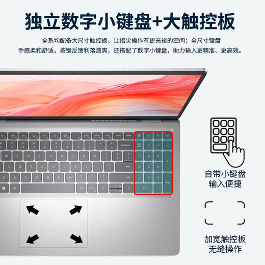 Dell Pro Lingyue 15 large screen thin and light laptop 3530 15.6-inch ultrabook female college student home portable learning office games business portable laptop 15Pro recommendation [Core i5 120Hz eye protection screen] 32G memory/1TB high-speed solid state [buyer's preferred