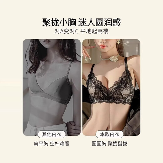 性感内衣女士小胸聚拢显大收副乳防下垂法式纯欲风蕾丝文胸罩套装 黑色 L 【36/80AB】