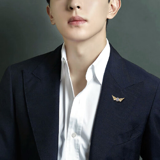 Angel Wings Men's Brooch Light Luxury High-end Corsage Simple Suit Decoration Lapel Pin Creative Pin Badge Accessories Gold One