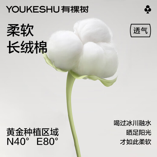 有棵树男士袜子男春夏季纯棉短袜薄荷香氛10A抗菌防臭吸汗透气抗起球袜