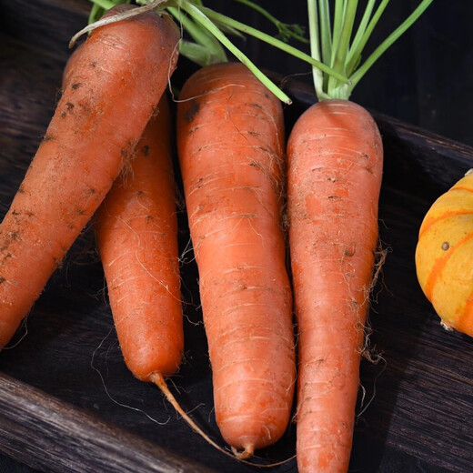Jingxiansheng Shandong fresh carrots with mud, net weight 3Jin Jin is equal to 0.5kg, single fruit 150g+, straight from the source
