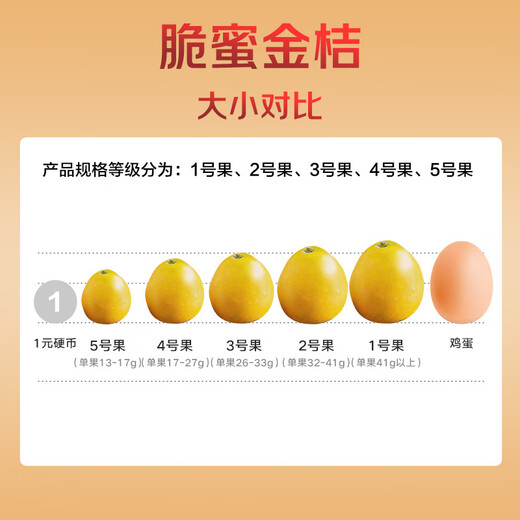 京觅广西融安 第三代脆密金桔 5斤装 单果41g+ 源头直发包邮