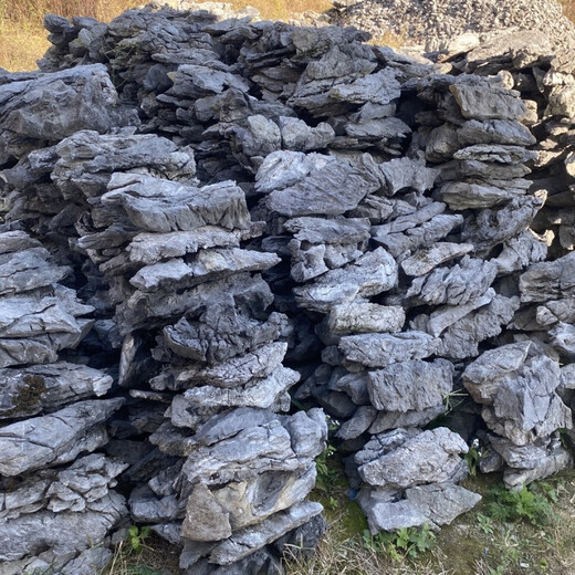 The raw stone is slotted and attached to the stone bonsai, which can be attached with elm, golden bean, fish tank, rockery, garden landscaping stone 17-20cm (slotted model will be shipped randomly)