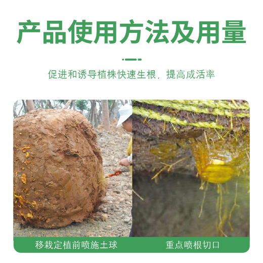 Guoguang Genpan 5% indole butyric acid naphthalene acetic acid flower seedlings lawn transplanting cutting rooting agent 25 ml