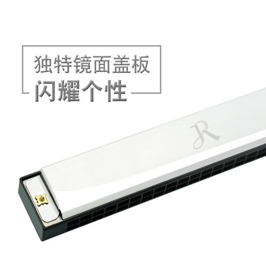 嘉德瑞复音口琴嘉德瑞24孔C调初学者自学可刻字演奏级乐器 马卡龙粉【不留指纹+送自学礼包