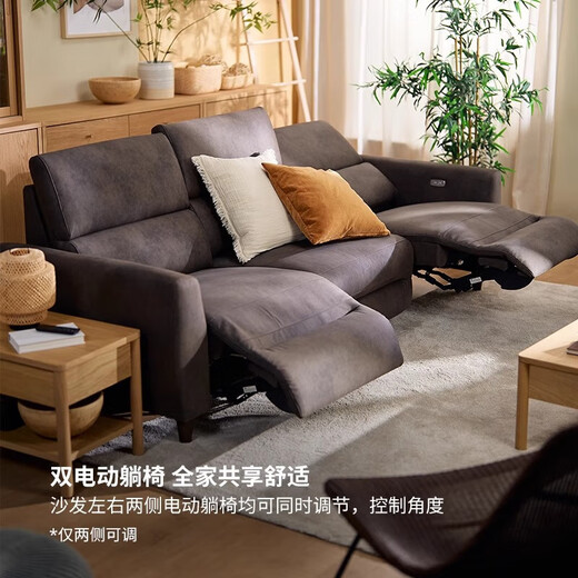 IKEA (IKEA) RULLERUM living room furniture technology cloth electric sofa double sofa with electric recliner