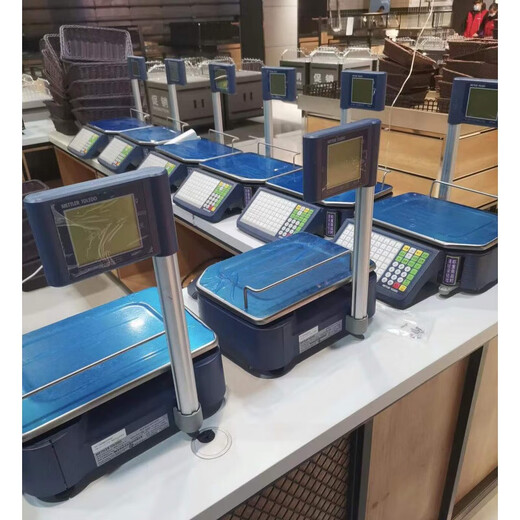京严[官方直营店】托利多Ai电子称电子秤打码秤3880条码秤标签打印秤定制 RL00吊挂