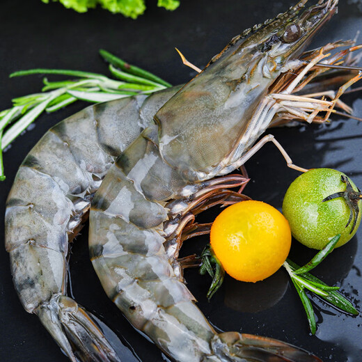 Swiss dolphin, Vietnamese extra large live frozen black tiger shrimp, Penaeus monodon, seafood, net weight 3Jin Jin equals 0.5kg (10-20/KG)