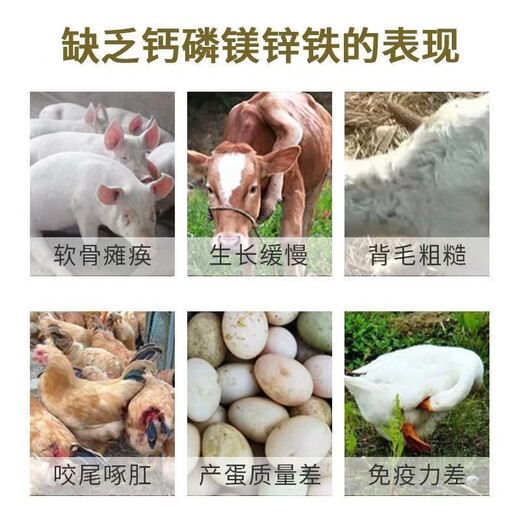 High calcium shell powder chicken, duck and goose feed pigeon livestock and poultry calcium supplement special oyster powder premix additive for bone strengthening Selected fine powder finely screened shell powder 10 Jin Jin is equal to 0.5 kg