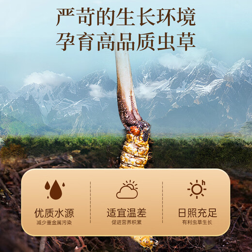 Lei Yun Shang Cordyceps Cordyceps gift box about 5 pieces/g 10g About 50 pieces holiday gifts high-end elderly nutrition products