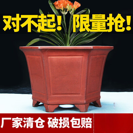 Yixing lila Ton Blütenstopf Sechs quadratische Orchideetopf grüne Pflanzen Blumen Bonsai Topf High Hexagonal Keramik Blumentopf 691 klein