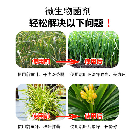 Wobao Bacillus subtilis anti-root rot soil-borne disease microbial agent highly active water-soluble fertilizer microbial agent Bacillus subtilis 200g*1 bag