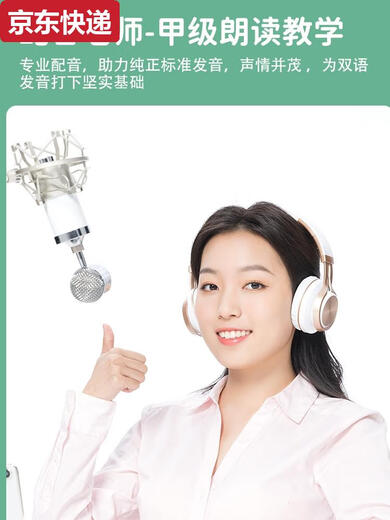 蓝彩何儿童26个英文字母点读书幼儿早教英语单词学习机中英双语有声绘本 专业学拼音点读书--充电款
