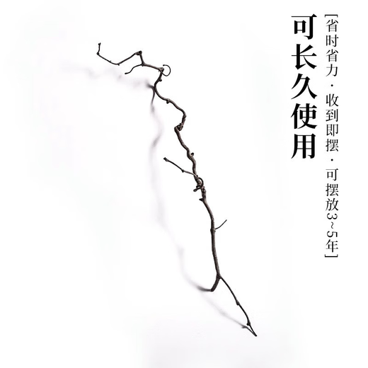 接运猫龙枣干枝树枝树干装饰弯曲插花干枝风干干花龙枣枝11011 天然龙枣枝15885cm一物一拍 干树枝