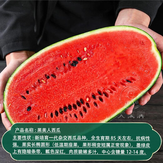 Dayu Lazy Man Watermelon Seed Seedlings Extra Large Suitable for Early Maturing Lazy Man in the South 8424 Kirin Melon Meidu Seedless Fruits and Vegetables Big Fruit Black Beauty Watermelon Seeds 20 capsules 2 bags of black skin