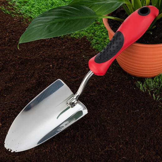 Manlife Monstera special fertilizer nutrient solution hydroponics soil cultivation dual-purpose tools high-quality red handle wide shovel