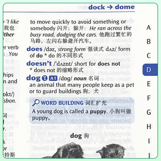 牛津初阶英汉双解词典第5版 2025商务印书馆中小学生英语工具书 可搭购教材教辅新华字典现代汉语词典第7版古汉常用词典成语古代汉语词典3版ket英语