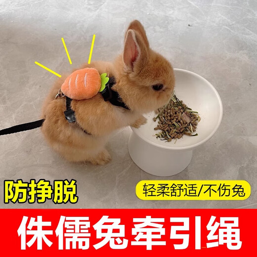 Amor's little rabbit traction rope is a special outing tool to prevent dwarf rabbits from breaking away. Rope for chinchillas and dwarf rabbits. Carrot type - yellow 1.2m S size (recommended 0-4Jin Jin is equal to 0.5kg)