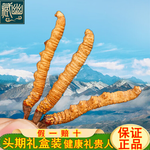 藏幽正宗藏区高海拔冬虫夏草礼盒滋补品头期干虫草送长辈父母营养品 【烫金礼盒】4根/克-10克-40根【送礼推荐】