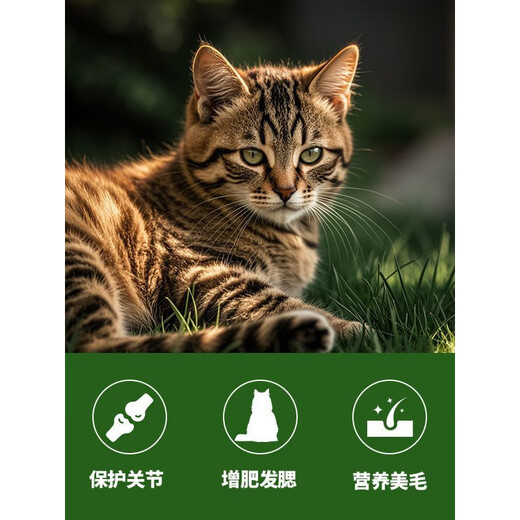 Wenzhi MOBO Tangerine full price non-shedding chicken craving replacement food for kittens grain-free trial pack nutrition increase original chicken cat food 150g 3 bags