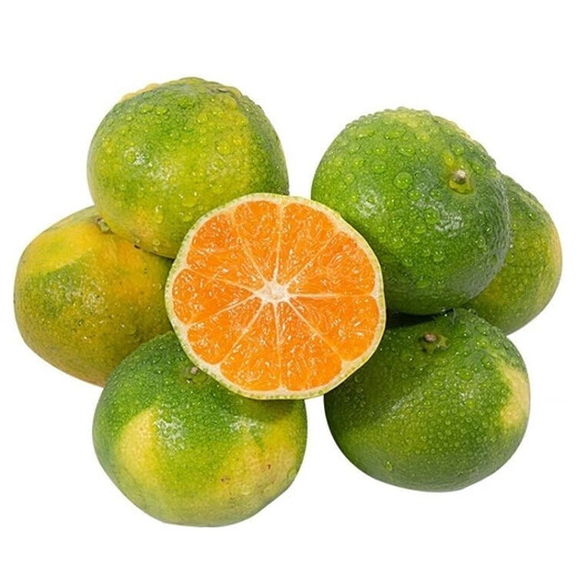 新鲜青皮云南蜜橘当季中果薄皮桔子应季新鲜采摘整箱 蜜桔中果带箱1斤