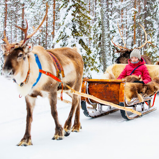 Air tickets included Russia Aurora Murmansk Teriberka 8-10 Days Tour Whale Hunting Aurora Hunter