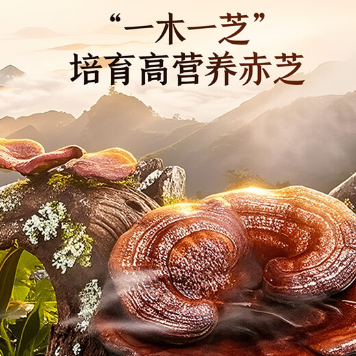 
Lei Yun Shang Breaking Wall Ganoderma Lucidum Spore Powder Capsules Enhance Immunity Nutritional Supplement Recovery After the operation, I give my elders gifts 90*2