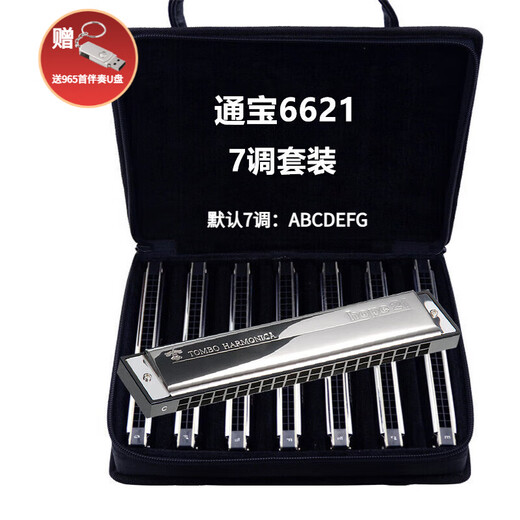 通宝日本进口通宝TOMBO口琴6621复音12调7调套装成人初学高级演奏乐器 21孔 通宝6621复音【七调套装】（送伴奏u盘）