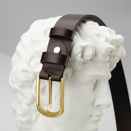 牛当家不锈钢扣皮带男针扣真皮腰带头层牛皮商务百搭高档裤带 金色扣3291咖色 125cm 39-40码/腰围3.2-3.3尺